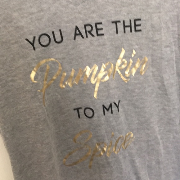 You are the pumpkin to my spice t shirt - Picture 2 of 3